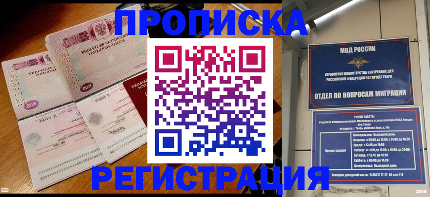 временная регистрация в Димитровграде